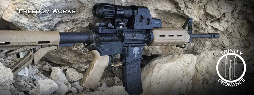 custom built AR-15