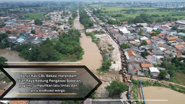 Banjir Kali CBL Bekasi Rendam Jalan Kedung Pengawas Babelan | Nasional