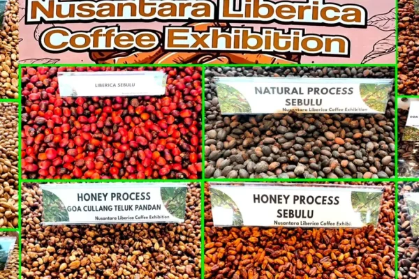 Kopi Lokal: Menggerakkan Ekonomi Sekitar IKN dengan OIKN | Ekonomi