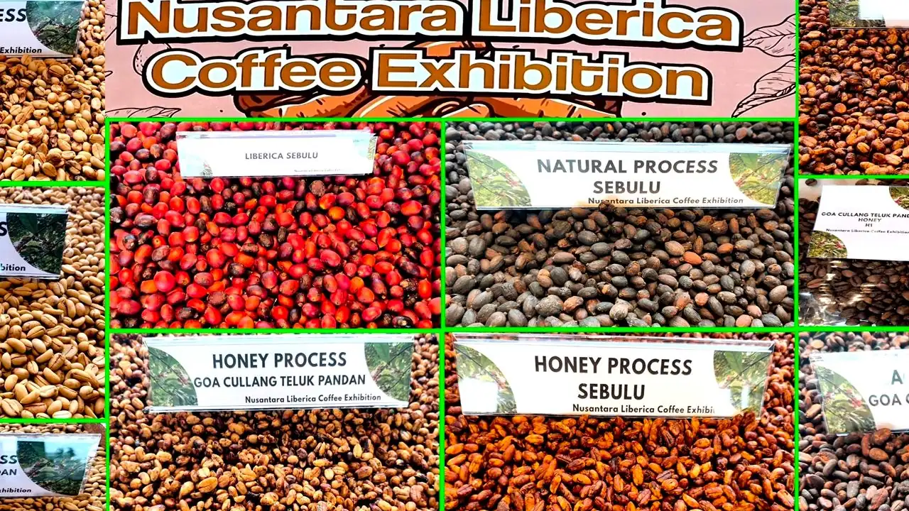 Kopi Lokal: Menggerakkan Ekonomi Sekitar IKN dengan OIKN | Ekonomi