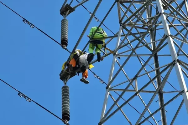 PLN Ungkap Layang-Layang Sebabkan Pemadaman Listrik di Lumajang | Nasional