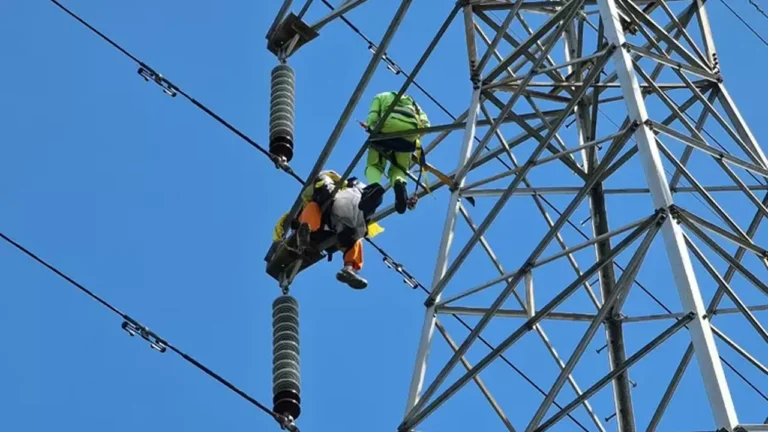 PLN Ungkap Layang-Layang Sebabkan Pemadaman Listrik di Lumajang | Olahraga