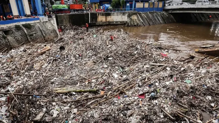 Sungai Jakarta Terpapar Polusi: 95% Limbah Rumah Tangga Tak Tertangani