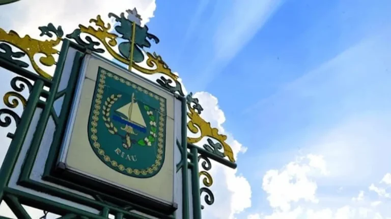 Ekonomi Daerah Terancam Jatuh Akibat Potongan TKD di Riau | Teknologi