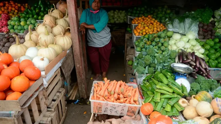 Tukang Sayur Jadi Pahlawan Ekonomi Indonesia: Fakta Menarik! | Ekonomi
