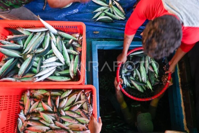 KKP: KNMP Karangasem Dapat Tingkatkan Produksi Ikan 21%