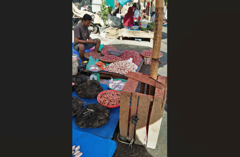 Harga Buah Pinang di Bengkulu Anjlok Jadi Rp7.500 per Kg