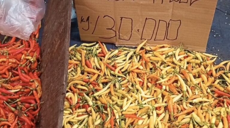 Harga Cabai Rawit di Belitung Hampir Setara dengan Daging Sapi
