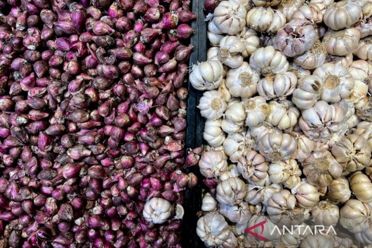 Harga Cabai Rawit Sentuh Rp59.923/kg, Bawang Merah Rp43.928/kg