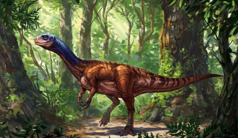 Chilesaurus: Dinosaurus Unik yang Bikin Ilmuwan Bingung