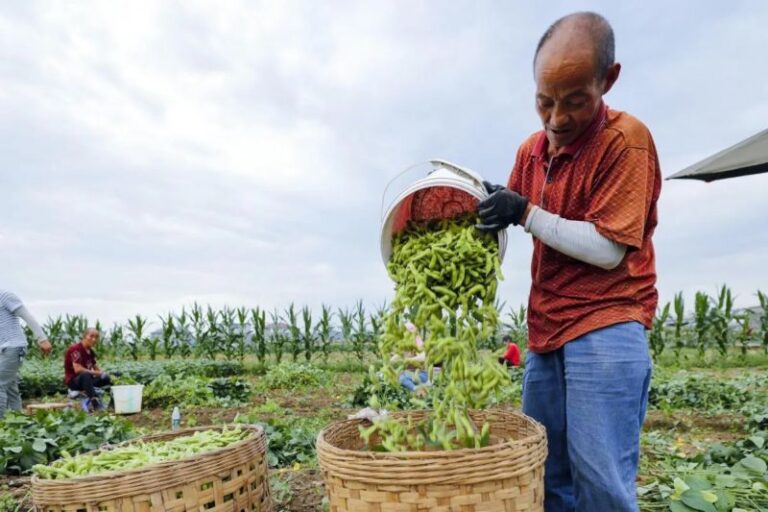 Mendag: Impor Produk AS Tarif 0% Tidak Akan Ganggu Industri Nasional