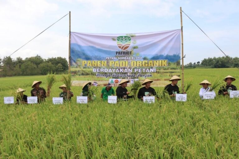 Panen Padi dan Tanam Kelapa di Blora untuk Ketahanan Pangan