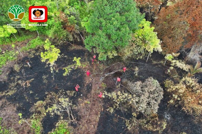 Manggala Agni Turunkan Empat Regu Atasi Karhutla di Bengkalis