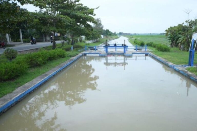 Inpres Irigasi Penting untuk Perkuat Ketahanan Pangan di El Nino