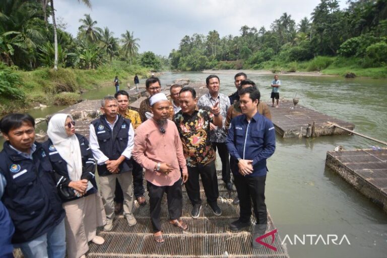 KKP: 15,6 Ha Kolam Budi Daya Ikan di Padang Pariaman Pulih