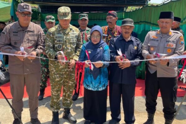 [original_title]