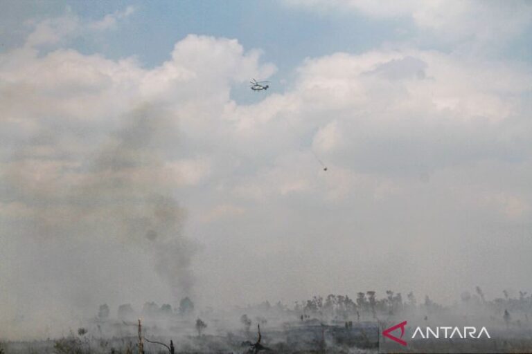 MENHUT: Dukungan BNPB Tingkatkan Penanganan Karhutla di El Nino