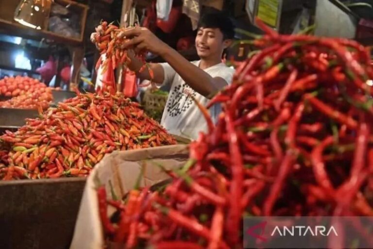 Harga Cabai Rawit Tembus Rp90.050/kg, Telur Ayam Rp29.900/kg